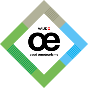 logo voe 2025 logo voe 2025